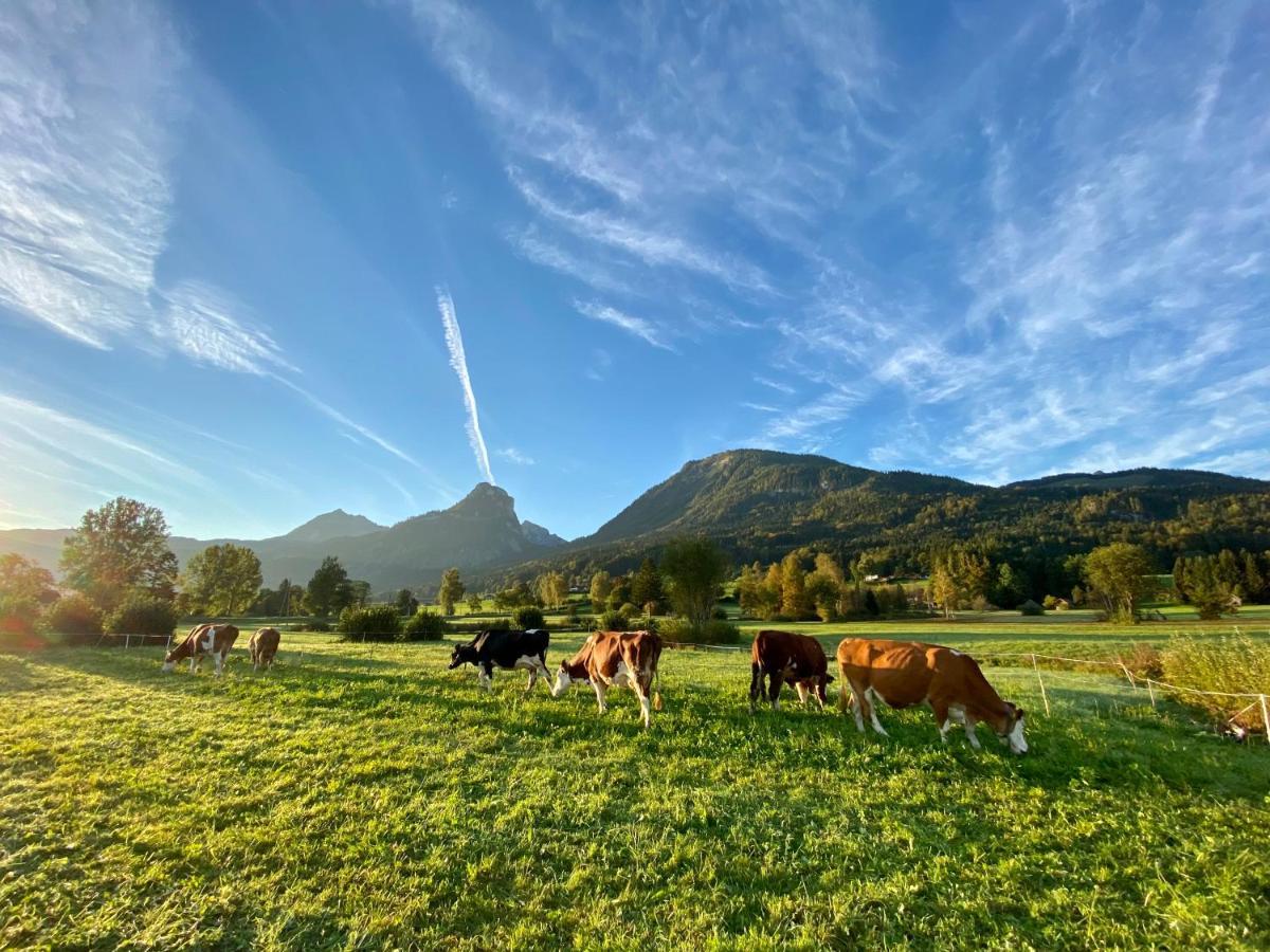 Bed and Breakfast Illighof - Urlaub Am Bauernhof Штробль Экстерьер фото